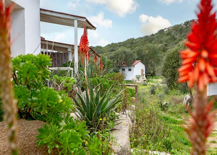 Locanda Domus De Vida