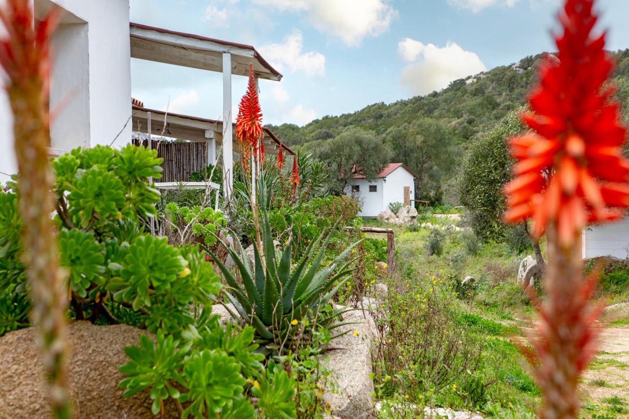 Domus De Vida Hotel