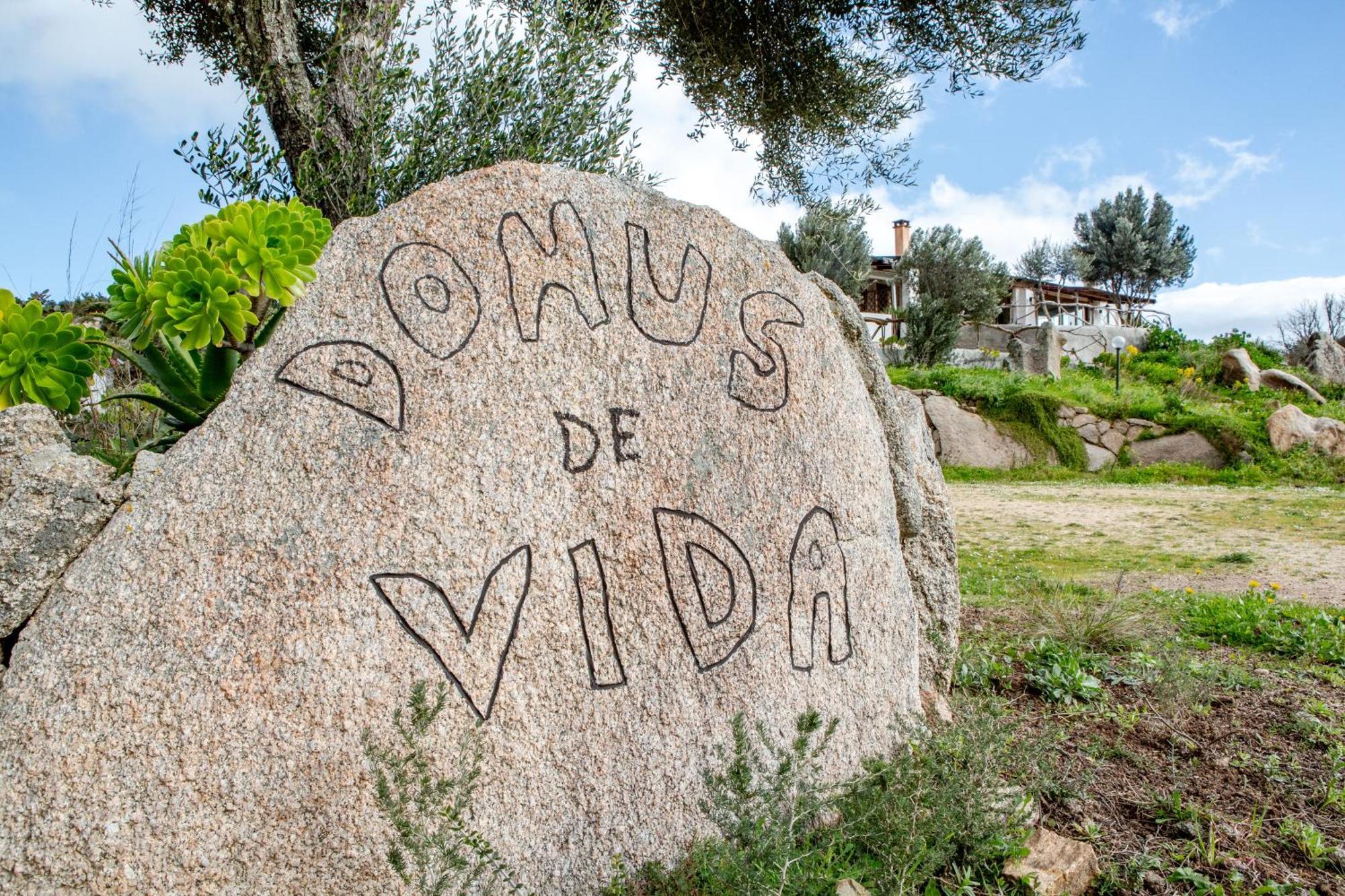 Domus De Vida *