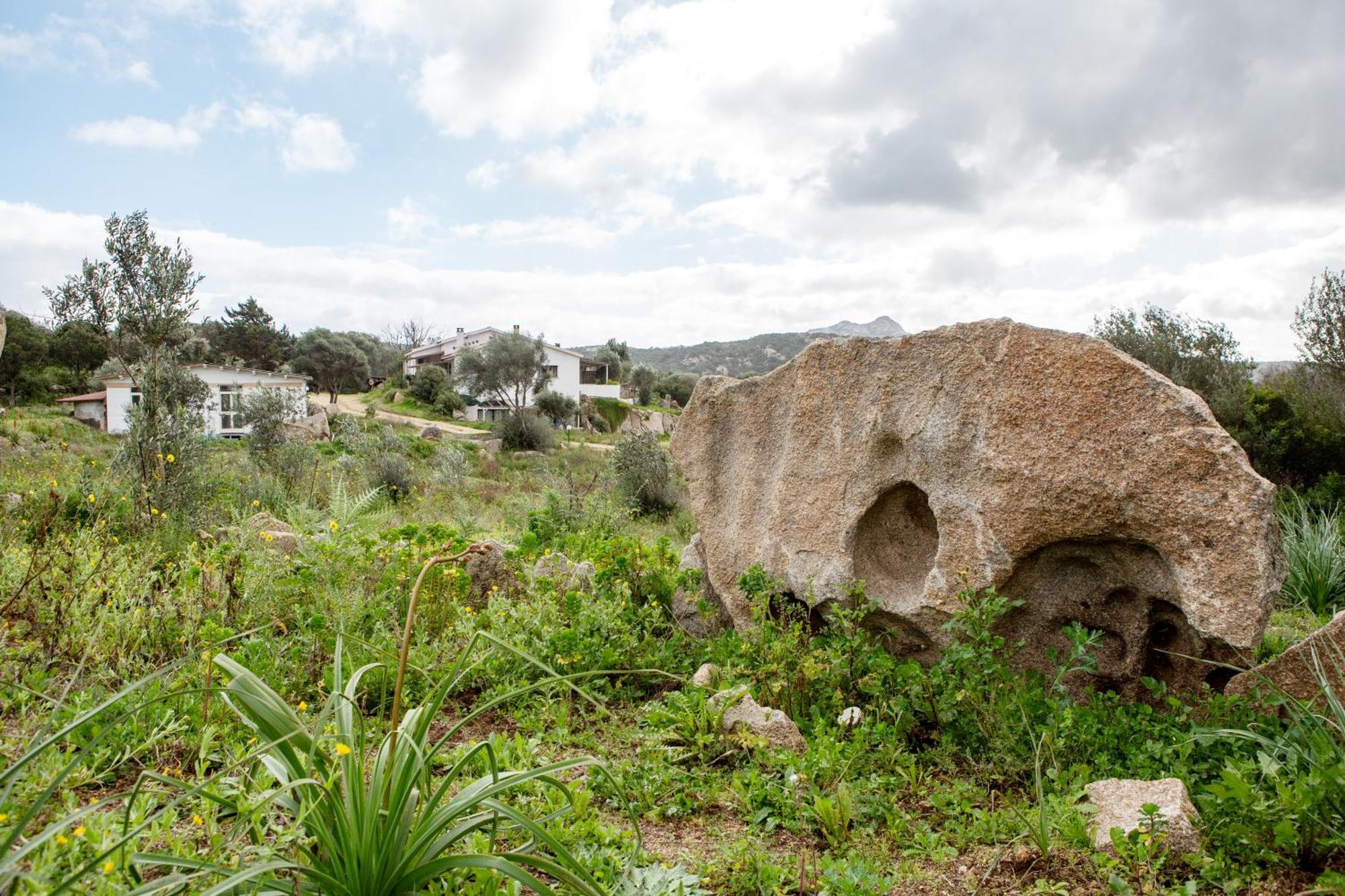 Domus De Vida Palau