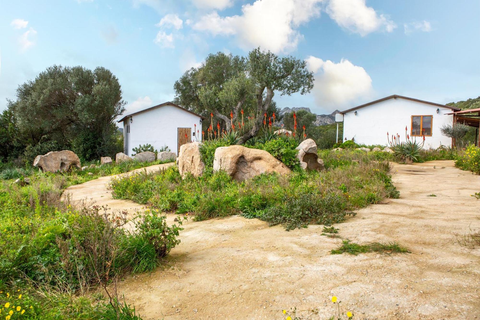 Domus De Vida Turismo Rurale * Palau